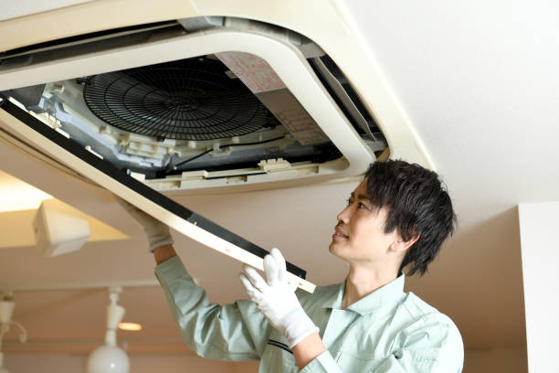 Best Ductwork Cleaning Services  in Ramseur, NC