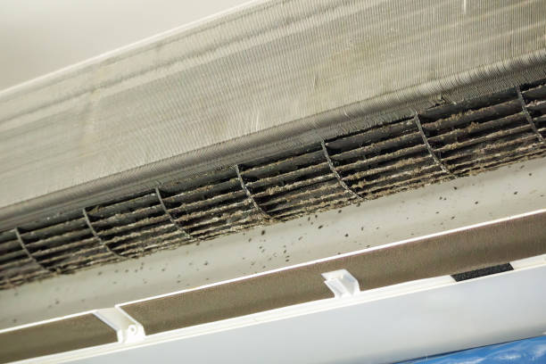 Best Air Duct Cleaning Near Me  in Ramseur, NC