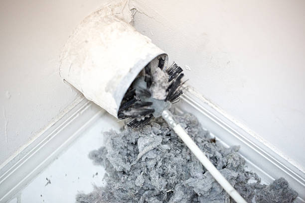 Best HVAC Air Duct Cleaning  in Ramseur, NC